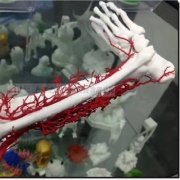 教育科研类产品展示